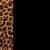Leopardo con negro